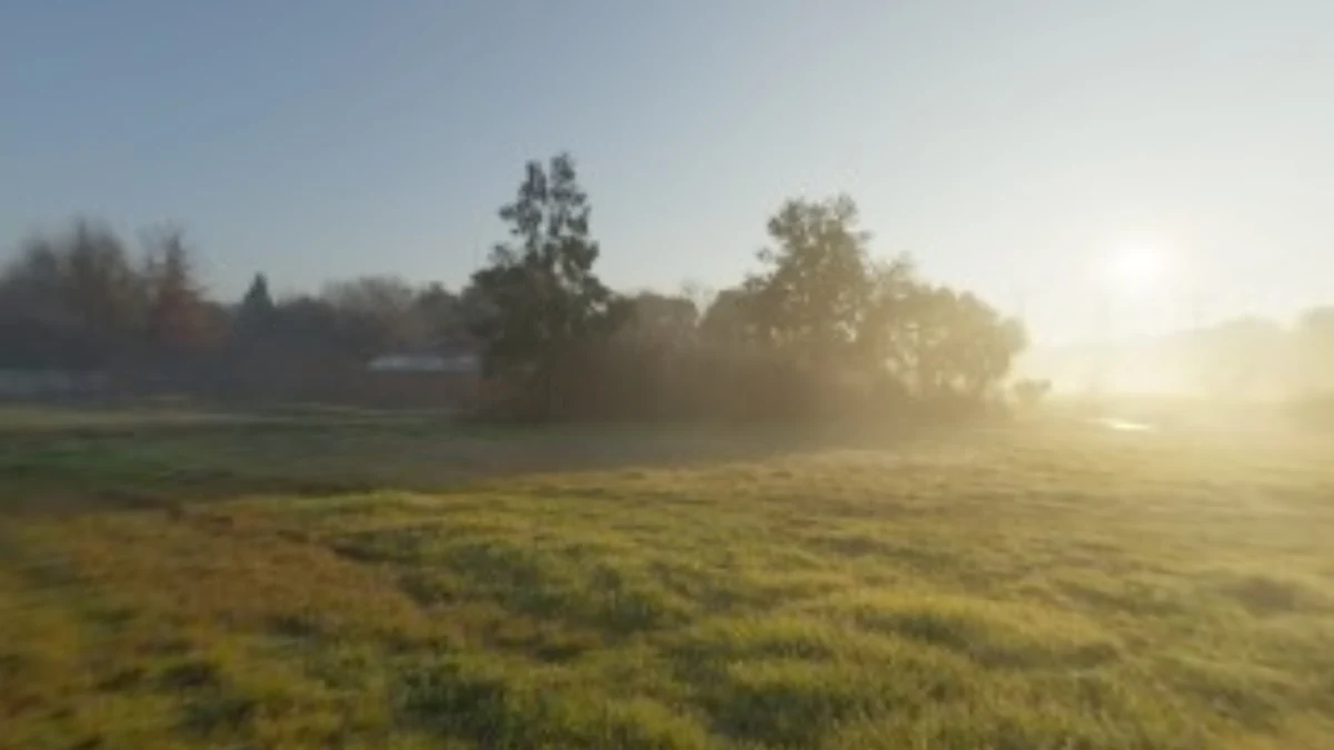 An ACES display preview of an outdoor sunrise HDR environment